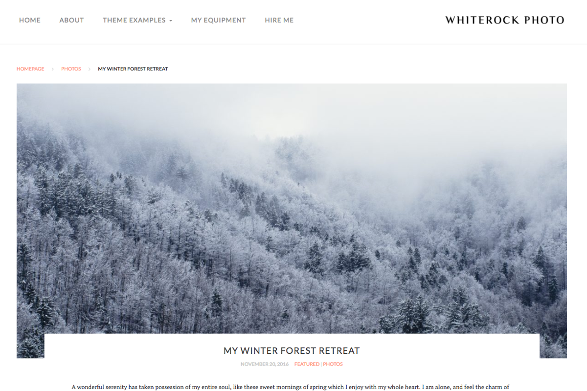 WhiteRock - Minimal WordPress Theme, a WordPress Template by Uncommon Mockups (Photo 3 of 4)