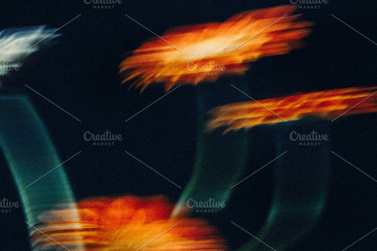 FlowerBloom 5 - Fine Art Photography, an Abstract Photo by Marie Dumora (Photo 5 of 5)