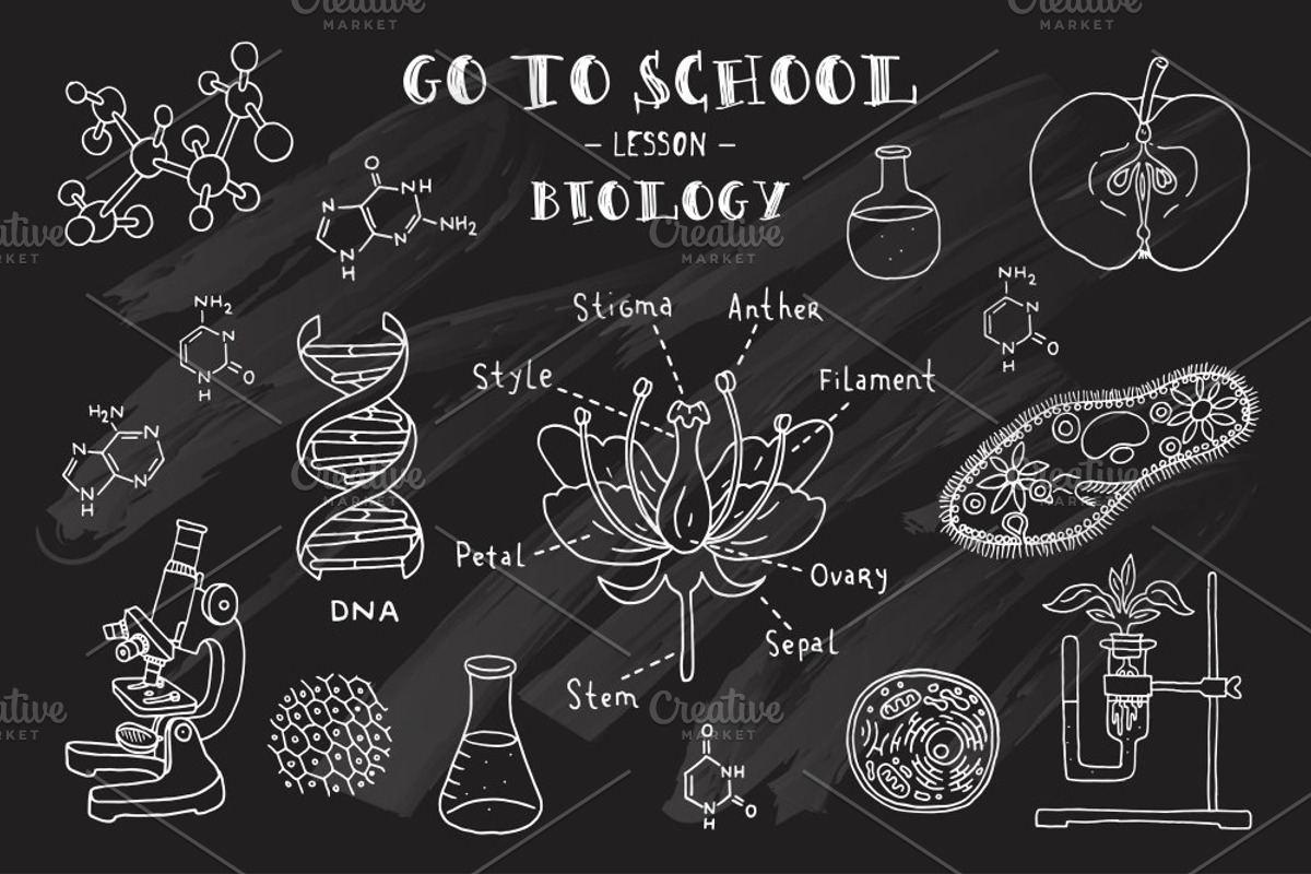 Go to school. Doodle set, an Education Illustration by WINS Doodle shop (Photo 4 of 10)