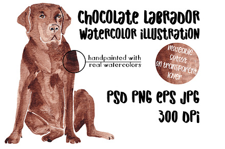 Watercolor Chocolate Labrador Dog