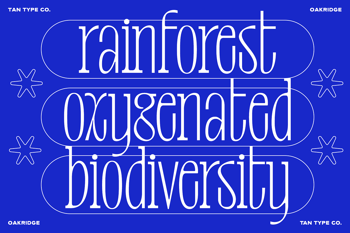 TAN-OAKRIDGE, a Sans Serif Font by TanType (Photo 2 of 10)