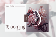 Shine Heels - Elegant Beauty Serif, a Serif Font by Qweera Studio (Thumbnail 4 of 12)