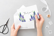 Botanical Muscari Set, an Illustration by Olga Koelsch (Thumbnail 9 of 9)