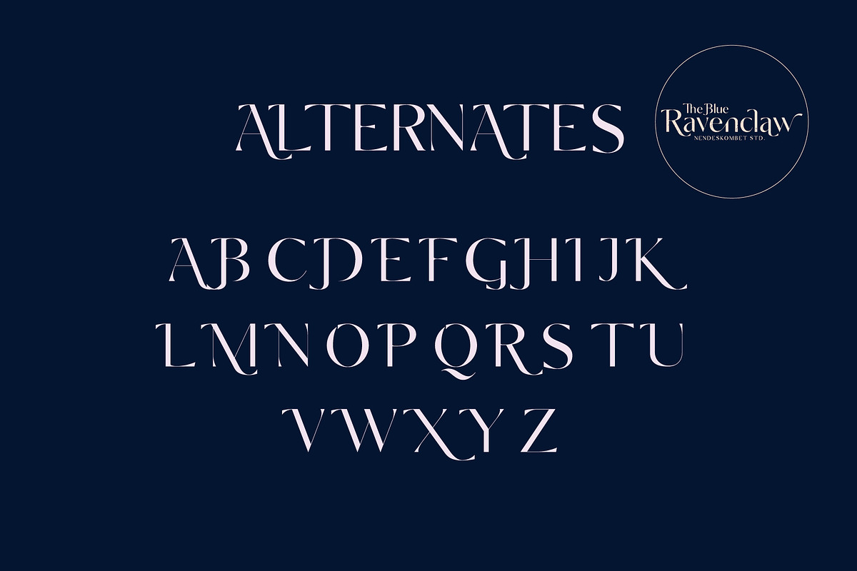The Blue Ravenclaw - Stylistic Sans, a Sans Serif Font by NendesKombet Studio (Photo 15 of 16)