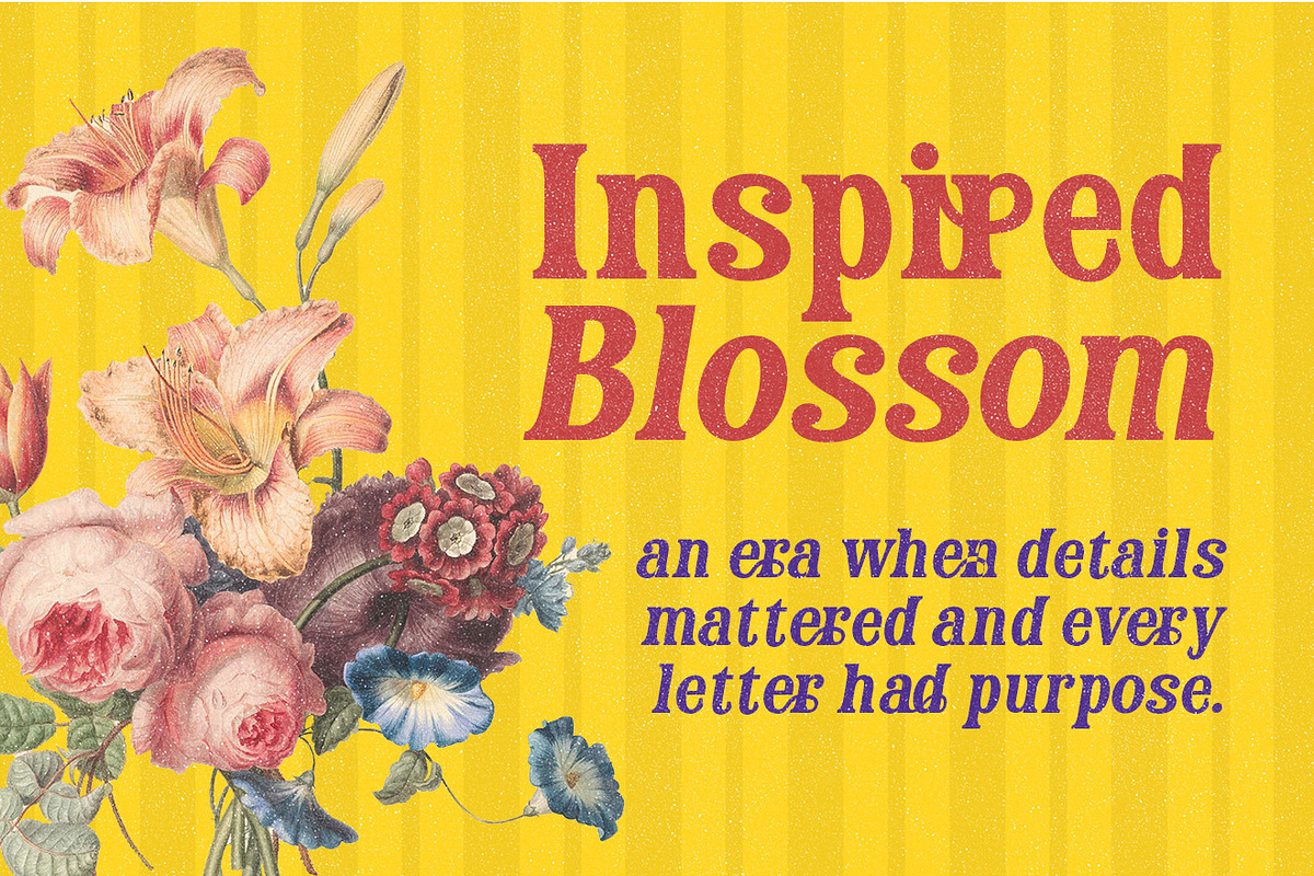 Brenoir - Elegant Decorative Serif, a Font by Simetrica Labs (Photo 7 of 14)
