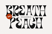 Rosemorati, a Serif Font by Sans & Sons (Thumbnail 3 of 11)