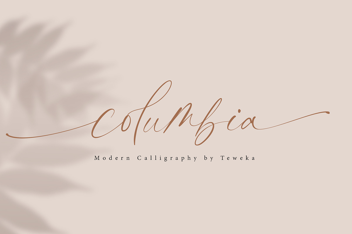 columbia, a Script Font by Teweka (Photo 12 of 12)
