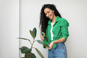Happy Woman Cleaning Plant Leaves Using Spray Bottle At Home, a Photo by Prostock-Studio