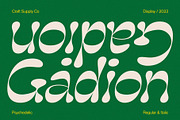 Gadion – Psychedelic Typeface, a Sans Serif Font by Craft Supply Co. (Thumbnail 1 of 8)