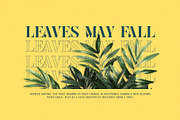 Mikage Elegant Serif Font Typeface, a Serif Font by Graphicxell (Thumbnail 8 of 10)