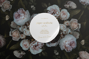 Pastel Dark Roses Wallpaper