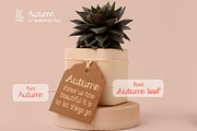 Autumn Font: A cozy, handwritten, a Handwritten Font by Waris Studio (Thumbnail 4 of 6)