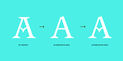 CF Santiago, a Serif Font by Contra (Thumbnail 3 of 11)