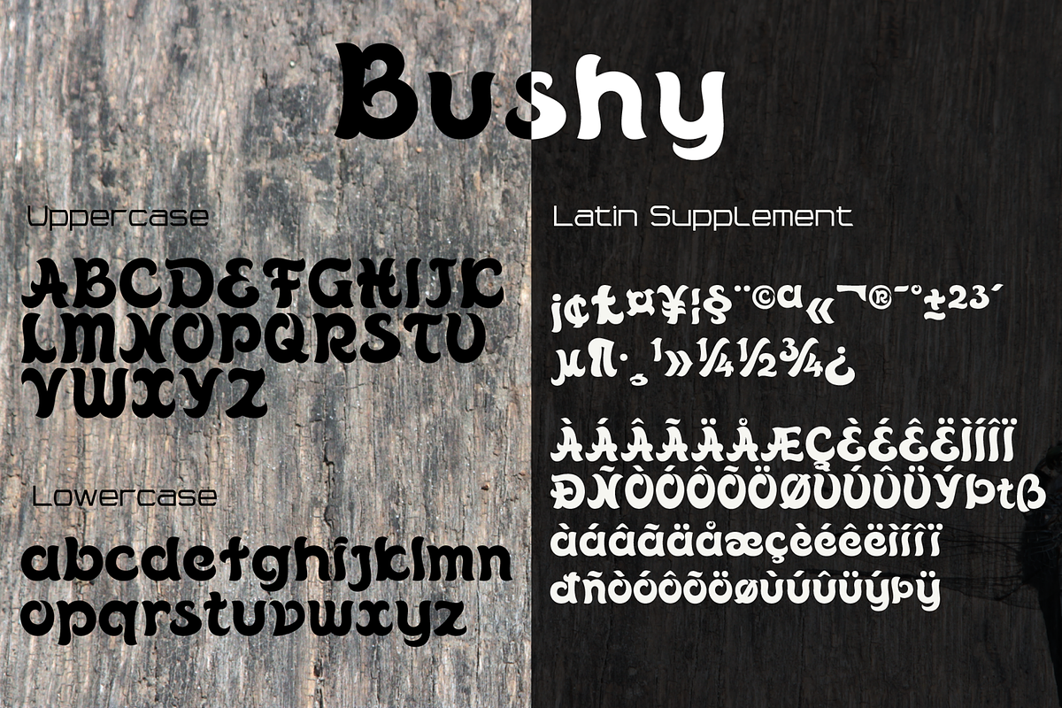 Bushy font family, a Script Font by vlad.berla (Photo 7 of 12)