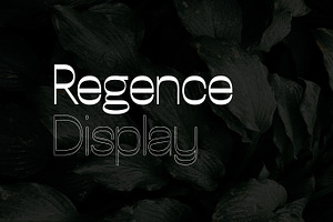 Regence Display Typefaces Webfonts