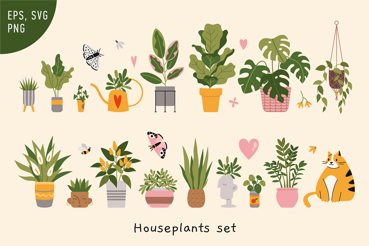 Houseplants, cat and butterflies, an Illustration by WinWinFolly (Photo 1 of 2)