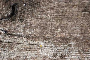 Natural wood texture patterns, a Background Photo by Schreibikus