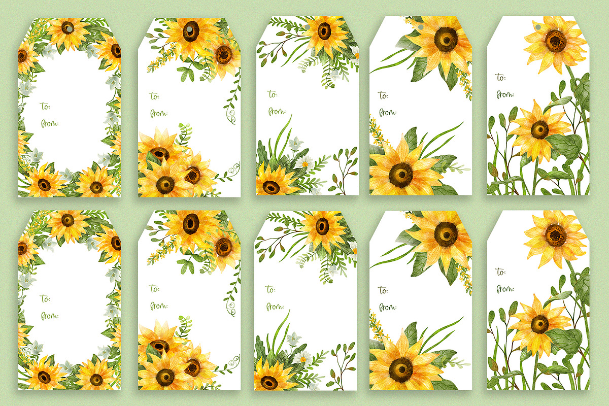 Sunflowers Watercolor Collection, an Illustration by Anna Druzhkova (Photo 8 of 17)