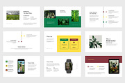 Guan : Nature Powerpoint, a Presentation Template by Punkl Camp (Thumbnail 3 of 9)