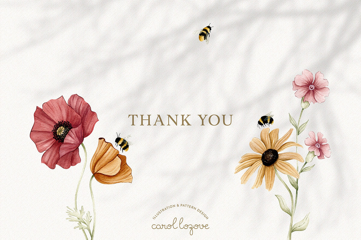 Watercolor Botanical Wildflowers Set, a Decorative Illustration by Carol Lozove (Photo 36 of 36)