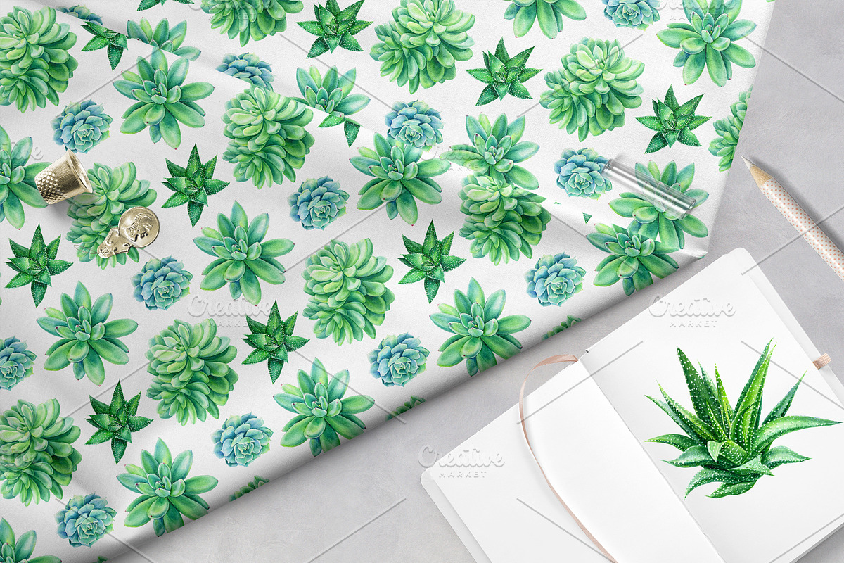 watercolor cacti and succulents, a Decorative Illustration by Hanna Hryharenka (Photo 8 of 9)