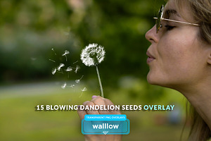 15 Blowing Dandelion Overlays