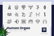 Human Organ Outline Icons, an Outline Icon by Zeer Graphic (Thumbnail 1 of 2)