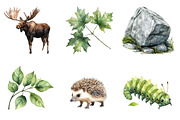 Spring Woodland Clipart, an Illustration by Design Market (Thumbnail 4 of 5)