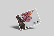 Postcard Mockup, a Product Mockup by Bangdastudio (Thumbnail 9 of 10)