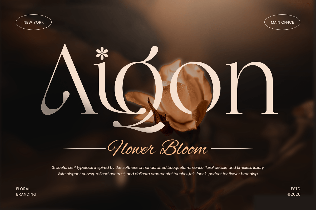 LOOK - Modern Elegant Logo Font, a Serif Font by Sensatype (Photo 6 of 13)