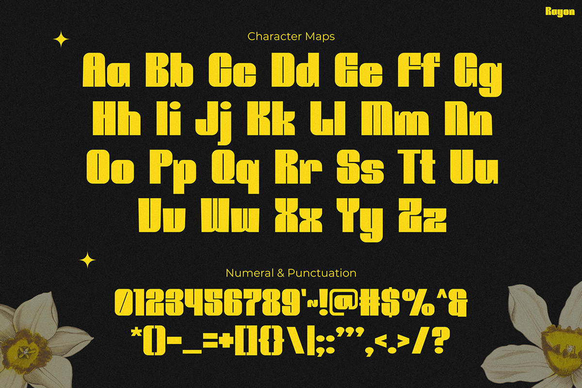 RAYON, a Sans Serif Font by Pinisi ART (Photo 2 of 10)