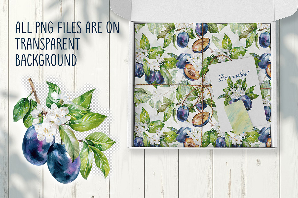 Blooming plum watercolor clipart, a Decorative Illustration by Eva Kleinman (Photo 12 of 14)
