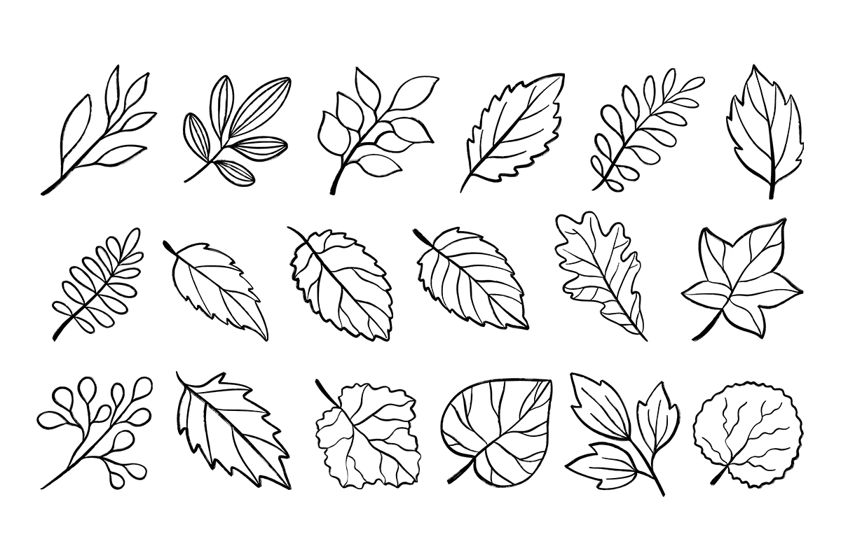Hand Drawn Fall Leaves Clipart, a Seasonal Illustration by LemonDesign (Photo 2 of 3)