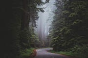 Moody Lightroom Presets - Soft Light, an Action Add-On by PhotoMarket (Thumbnail 7 of 33)