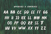 Rickbers Brush Font, a Handwritten Font by Maulana Creative (Thumbnail 5 of 5)