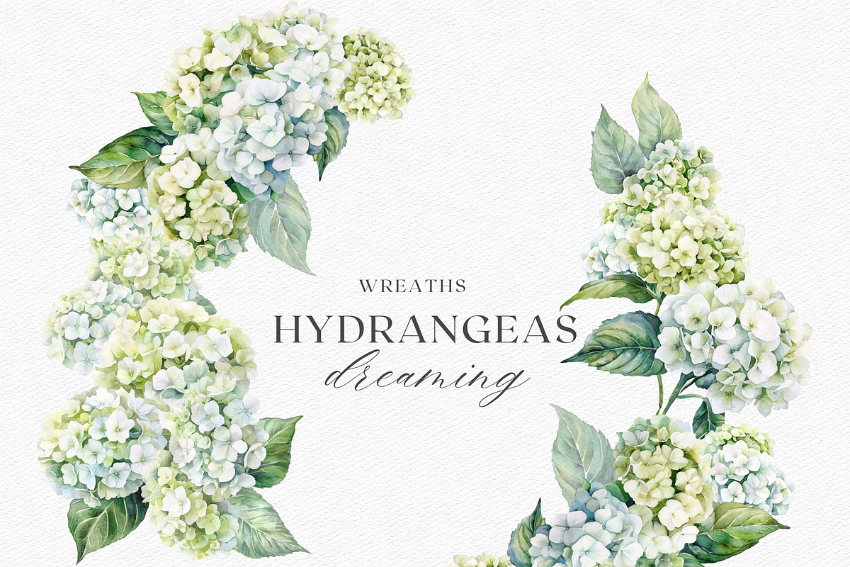 Hydrangeas Dreaming - Watercolor, a Decorative Illustration by ThaismotaCreativeCo (Photo 6 of 9)