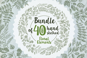 40 handsketched floral elements