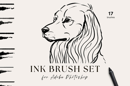 Vector Brushes Bundle preview 6