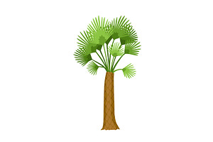 Kind of tree icon, palm, an Object Illustration by Things for designers