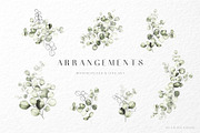 Eucalyptus watercolor illustrations, a Decorative Illustration by Liliia Polos Illustration (Thumbnail 3 of 11)