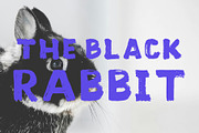 Wild Sheep, a Script Font by Stripes Studio (Thumbnail 4 of 7)