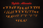 Phantek Script Font, a Script Font by Naufal Labs (Thumbnail 13 of 14)