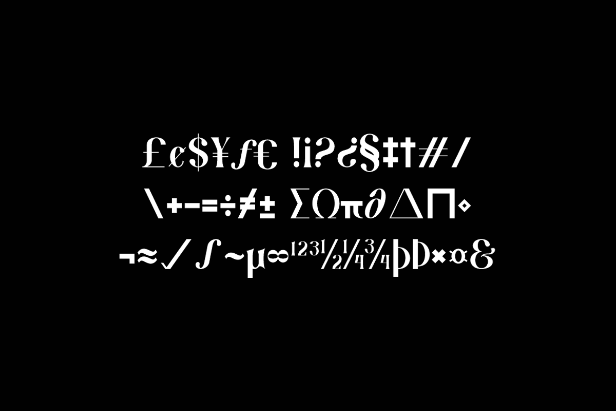 Ostir Agobelt Feminine Elegant Font, a Serif Font by QR Design Studio (Photo 11 of 13)