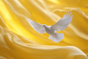 White dove of peace on yellow background, an Animal Photo by AlyaAnd