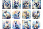 Watercolor Cat Breed Illustrations, an Animal Illustration by Palleon (Thumbnail 3 of 7)