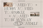 THE FRENCH KISS ROYAL TYPEFACE, a Serif Font by SilverStag Type Foundry (Thumbnail 18 of 23)