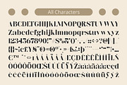 CS Nolan – Classic Font, a Serif Font by Craft Supply Co. (Thumbnail 8 of 8)