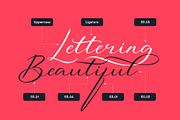 The Beauty Font Bundle | 6 in 1, a Script Font by StoricType (Thumbnail 21 of 23)