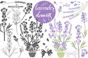 Lavender., an Object Illustration by maritime_m (Thumbnail 2 of 7)
