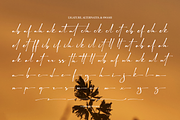 Astelafisa | Classic Signature Font, a Script Font by Denustudios (Thumbnail 10 of 12)